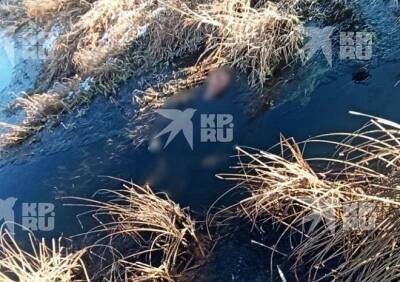 Опубликованы фотографии с места гибели водителя в Рязанской области