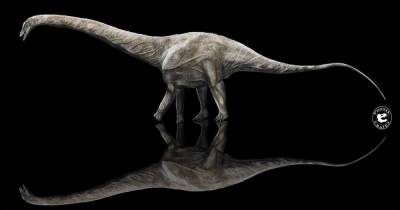 Длиной более 40 метров. Ученые назвали самого длинного в истории динозавра
