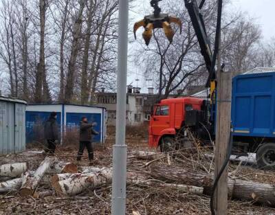 142 аварийных дерева убрали с территории Ульяновска