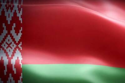 Белоруссия заявила о готовности разместить всех мигрантов в Брузги