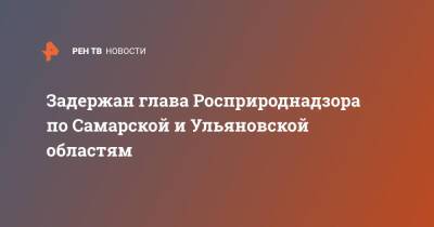 Задержан глава Росприроднадзора по Самарской и Ульяновской областям