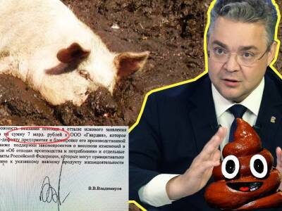 Ставропольский губернатор рискует головой: защищает свиноводов-загрязнителей от штрафа 7 млрд руб