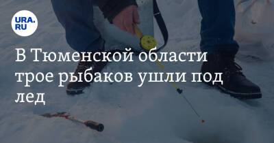 В Тюменской области трое рыбаков ушли под лед