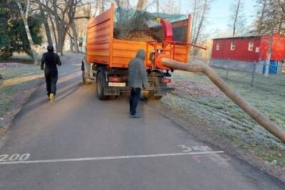 В Курске приступили к расчистке парка «Боева дача»