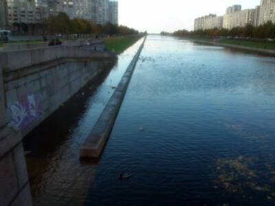 В Петербурге задержан сын мужчины, которого расчленили и сбросили в реку Смоленка