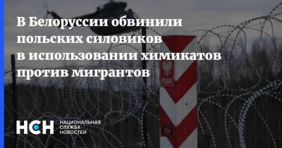 В Белоруссии обвинили польских силовиков в использовании химикатов против мигрантов