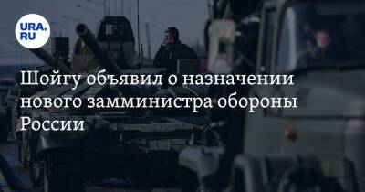 Шойгу объявил о назначении нового замминистра обороны России