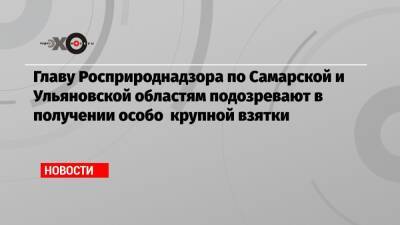 Главу Росприроднадзора по Самарской и Ульяновской областям подозревают в получении особо крупной взятки