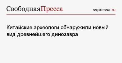 Китайские археологи обнаружили новый вид древнейшего динозавра