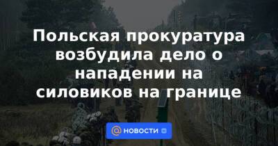 Польская прокуратура возбудила дело о нападении на силовиков на границе