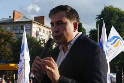 Михаил Саакашвили - Нино Ломджария - Врачи назвали нецелесообразным лечение Саакашвили в тюремной больнице - lenta.ru - Грузия