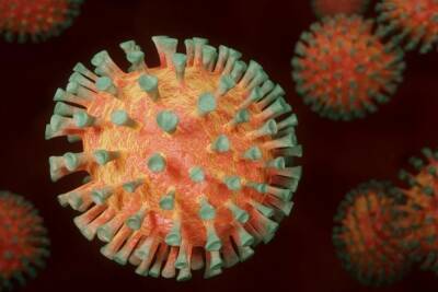 Иммунолог озвучил план действий после контакта с больным коронавирусом