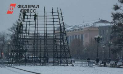 В Иркутске начали монтаж новогодней елки