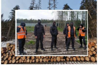 Незаконных рубщиков леса на Шиесе пожалели условкой