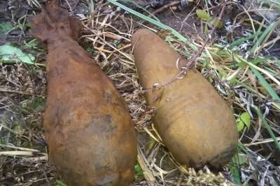 В Ярославской области фермеры нашли боеприпасы ВОВ