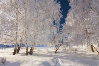 Костромские прогнозы: ближайшие дни будут разными, но зима в целом — умеренной и снежной