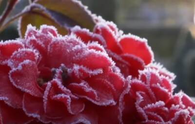 Будет солнечно, но очень холодно: Укргидрометцентр предупредил о коварной погоде в среду