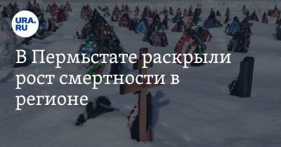 В Пермьстате раскрыли рост смертности в регионе