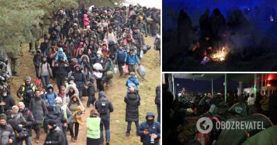 Мигранты на границе Беларуси с Польшей: последние новости, фото и видео – что происходит сейчас