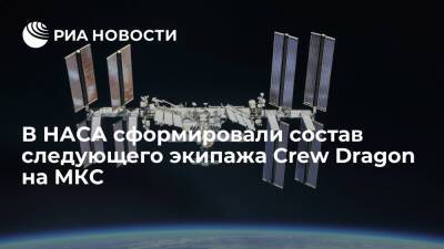 В НАСА сформировали состав следующего экипажа корабля Crew Dragon на МКС - ria.ru - США - Вашингтон