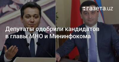 Депутаты одобрили кандидатов в главы Мининфокома и МНО