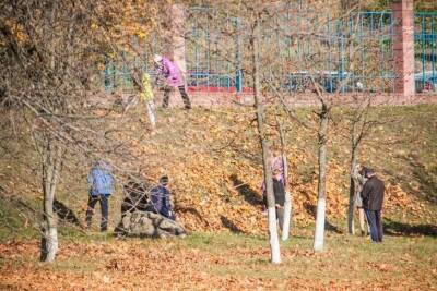 Как защитить плодовое дерево поздней осенью: что добавляют в побелку опытные дачники