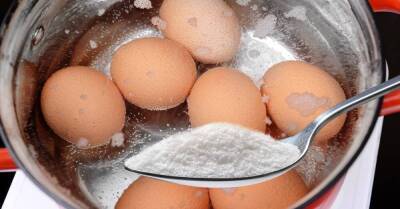 Хозяйка со стажем рассказала, что нужно добавить в воду при варке свежих яиц, чтобы потом не маяться с очисткой