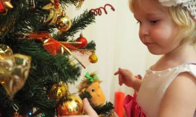 На новогодние подарки для детей власти Карелии готовы потратить всего 375 тысяч рублей