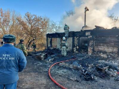 При пожаре в Воронежской области погибла многодетная семья