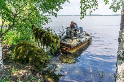 Очистка озера Шарташ в Екатеринбурге займет три года