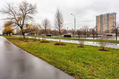 Завершилась высадка деревьев и кустарников на Алтуфьевском шоссе