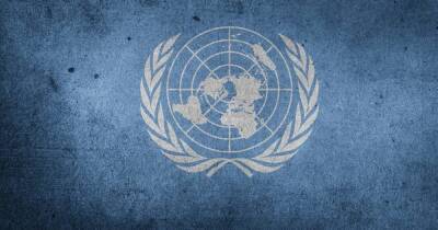 Устав ООН не соответствует мировым реалиям-Украина предлагает изменить устав организации