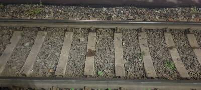 В Карелии следователи устанавливают причину смертельного падения мужчины из поезда