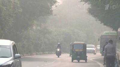 В Индии из-за смога школьники и госслужащие ушли на дистанционку, остановлены стройки