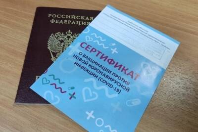 В Тамбовской области вместе с QR-кодом о вакцинации будут проверять и документы, удостоверяющие личность