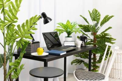 Как создать зеленый оазис на рабочем столе: идеи с фото