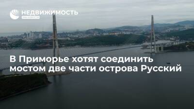 Глава Приморья анонсировал создание моста, соединяющего две части острова Русский