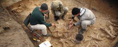 Ученые РАН обнаружили в Волчьей Гриве Новосибирской области кости десятков мамонтов