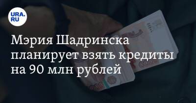 Мэрия Шадринска планирует взять кредиты на 90 млн рублей