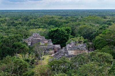 Обнаружены следы развитых технологий древних майя