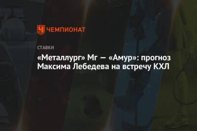 «Металлург» Мг — «Амур»: прогноз Максима Лебедева на встречу КХЛ