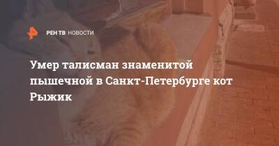 Умер талисман знаменитой пышечной в Санкт-Петербурге кот Рыжик