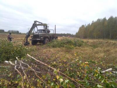 В Глазовском районе обработали более 500 гектаров заброшенных земель
