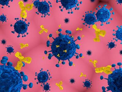 Ученые выяснили, у кого может быть больше антител против COVID-19 и мира