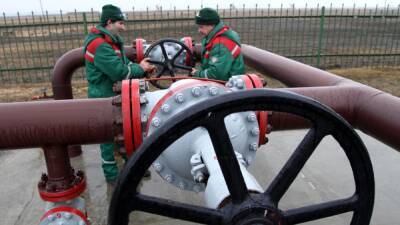 Белоруссия временно остановила транзит нефти в Польшу