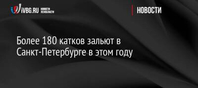 Более 180 катков зальют в Санкт-Петербурге в этом году