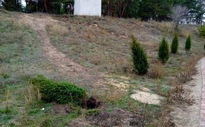 В Воронеже в мемориальном комплексе «Песчаный лог» повредили неизвестные 6 деревьев