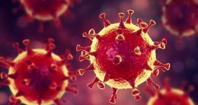В Украине найдено 11 мутаций коронавируса штамма "Дельта"