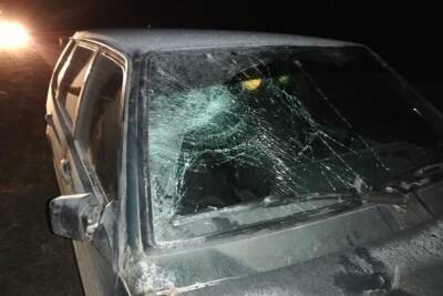 В Тамбовском районе водитель «Лады» сбил пешехода