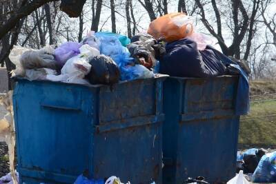 «Спецтранс 47» выиграл право вывозить мусор из Всеволожского района на 1,8 млрд рублей